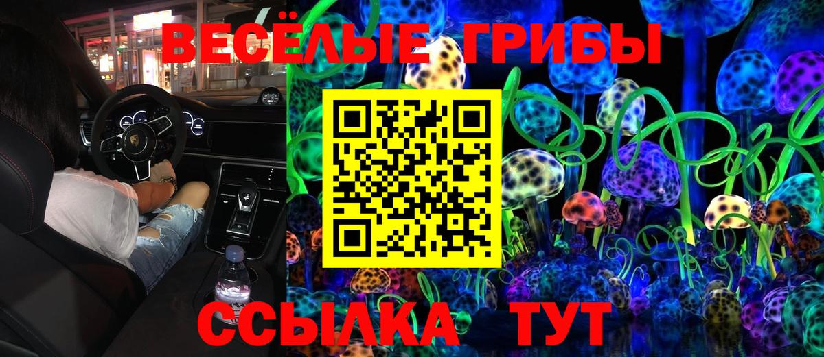 Псилоцибиновые грибы Psilocybine cubensis  Вход с VPN  Екатеринбург 